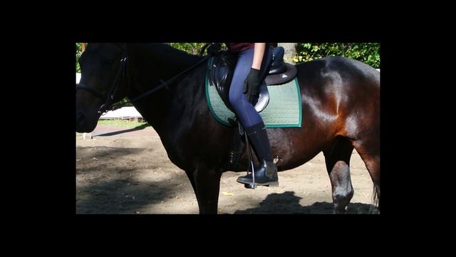 Уроки верховой езды. Как испортить посадку. часть1 смотреть онлайн