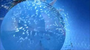 FIFA Beach Soccer World Cup Bahamas 2017 Intro 2