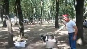 Встреча ветеранов ГСВСК Волноваха Форест парк