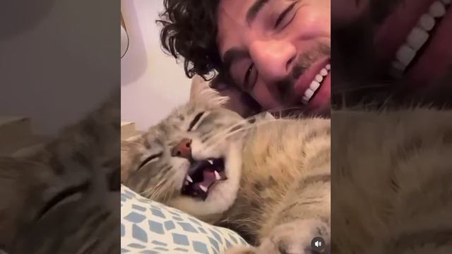Учимся разговаривать на кошачьем!