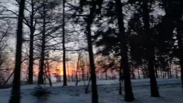 дорога вдоль Финского залива и музыка Глинки смотреть онлайн