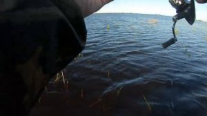 Ловля щуки в траве на незацепляйки , весной 26.05.2021.Блесна Rapala Minnow Spoon незацепляйка.