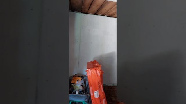 Запускаем бренд натуральных лакомств для собак.Начало пути