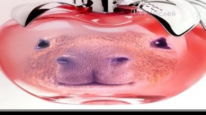 Если КАПИБАРЫ Захватят Этот Мир: