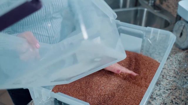 Занимательные игры с семенами льна. Учимся, играя. смотреть онлайн