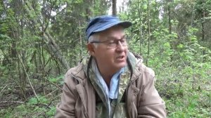 ПРОГУЛКА ПО ЛЕСУ   ГРИБЫ   НАВИГАТОР   гармин 64