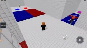 играем в roblox с Настей головоломки