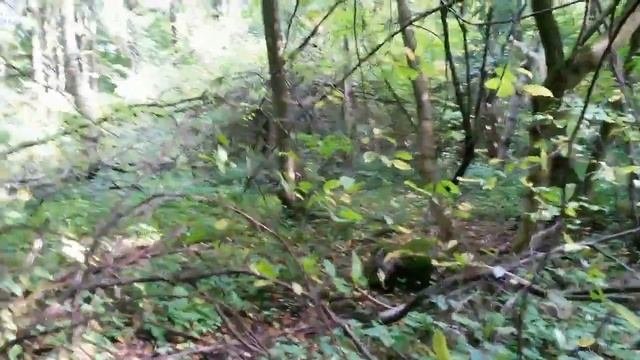 То что осталось от поместья..Коп по старине.Калининград.