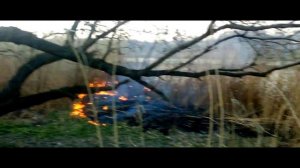 ЛУНА - ЛЮТИКИ (КЛИП)