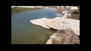 самая дешёвая очистка пруда