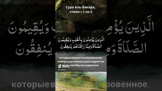 Сура Аль-Бакара : 1-5, арабский текст #каран #religion #коран #каран