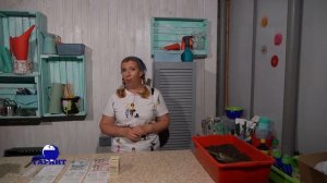 Как надолго избавиться от мух в доме и на участке? Видеоинструкция по применению средств от мух