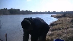 Рыбалка на язя. На что его ловить!