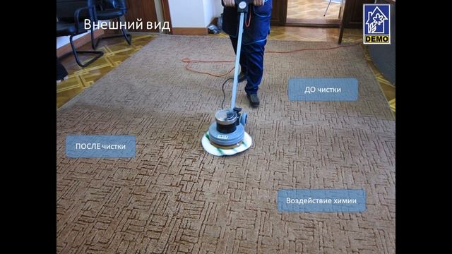 Боннетная чистка ковролина с миниполотером