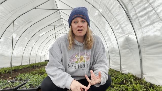 We Were NOT Expecting This! : Late April Snow Storm VLOG : Flower Hill Farm смотреть онлайн