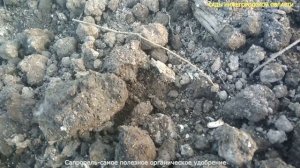 Сапропель.Органические удобрения из озер и болот