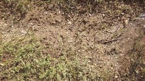 Рыбалка на Биджане