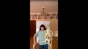 Анатомия суставов и биомеханика Самаконасаны