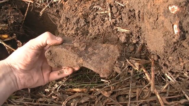 Поиск по старине с квадриком "травомялкой" #251 смотреть онлайн