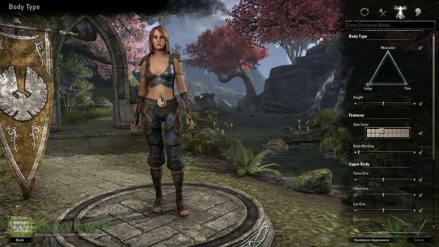 The Elder Scrolls ONLINE | "Character Creation" [EN] смотреть онлайн