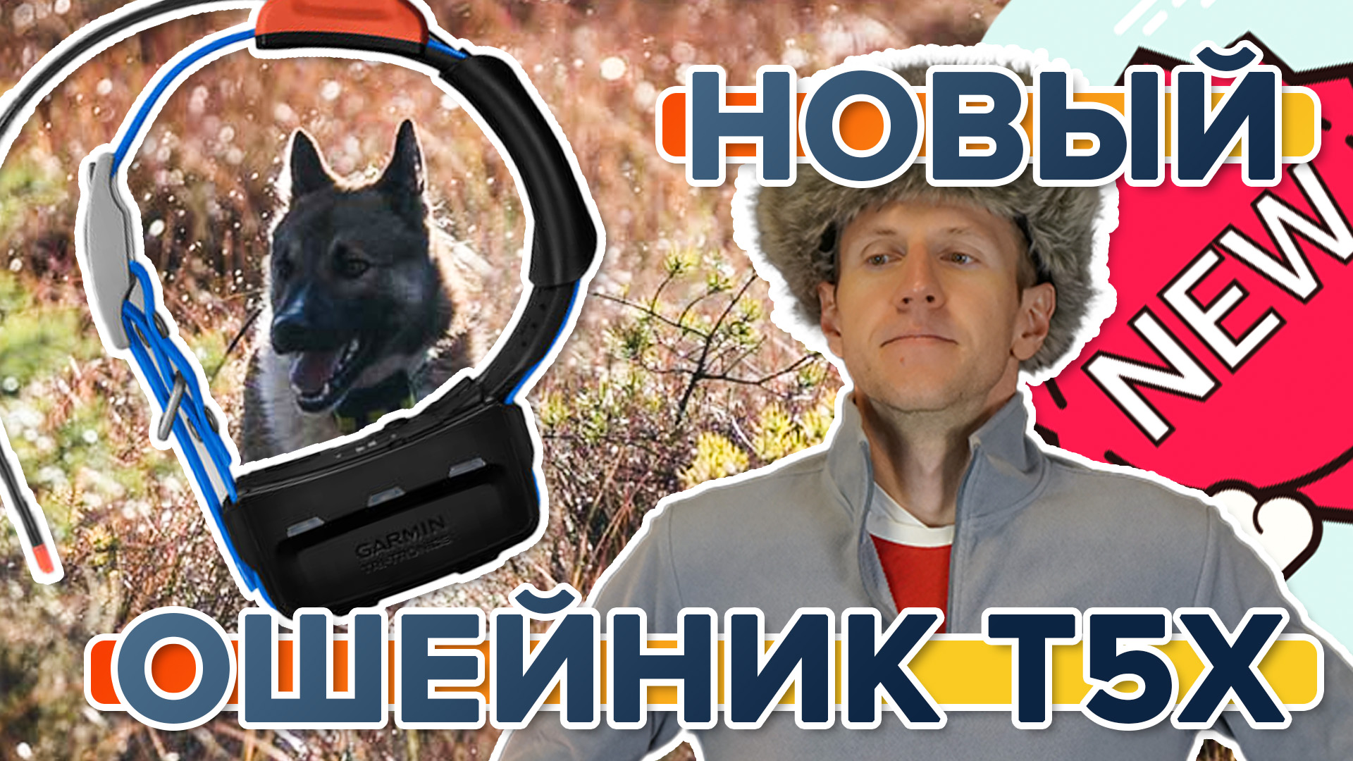 Вышел новый ошейник Garmin TT15x. Доступен к заказу!