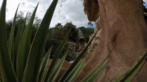 Personal Travel: Siam Park, Tenerife (Canary Island, Spain) 2015!