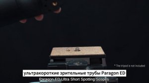 Vector Optics | Не пропустите ультракороткую зрительную трубу Paragon ED (SCSS-10 & SCSS-11)
