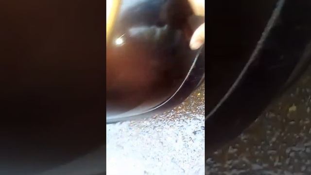 Парктроник пищит постоянно