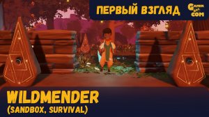 Оазис в пустыне ► Wildmender ► Первый взгляд