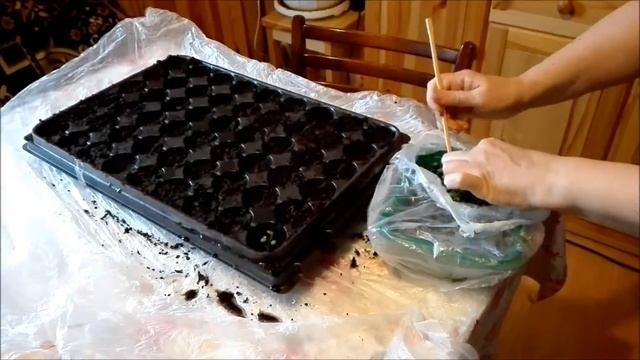 Пикирование земляники