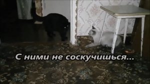 С ними не соскучишься