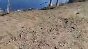 Новотроицк.Март.Рыбаки на очистных.