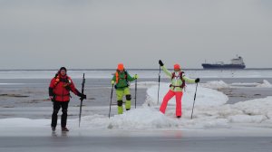 2023-03-18  на коньках по Финскому заливу у Лебяжьего