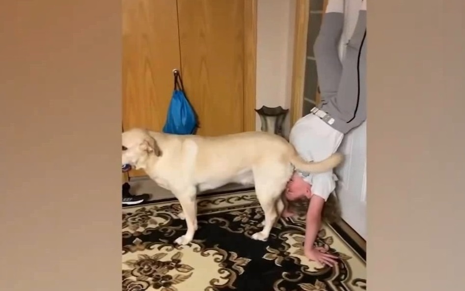 Смешные приколы Февраль 2023 #63 смотреть онлайн