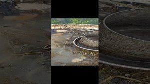 ПЕРЕЦ. Что любит и чем кормлю?