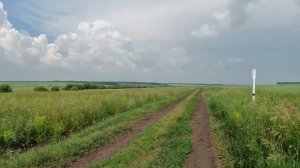 окрестности Верх-Ирмень