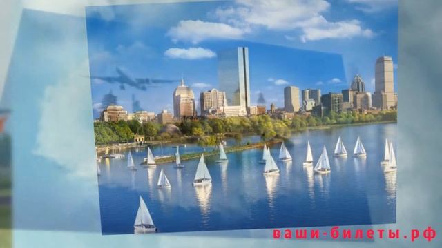 Сайты, где можно купить авиабилеты. смотреть онлайн