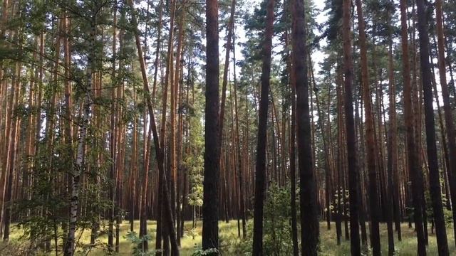 LDOE в реальной жизни-Last day on earth: survival!