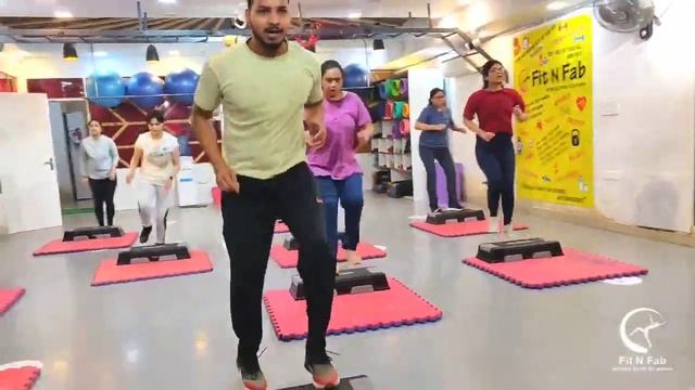 Aerobics Stepper Workout |Weight loss & Stamina Build | fitness with Fit N Fab pitampura смотреть онлайн