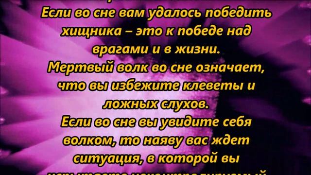 К чему снится волк смотреть онлайн