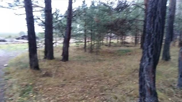 ХОРОШАЯ ПЕСНЯ. СКАЖИ ПРЕДСЕДАТЕЛЬ.