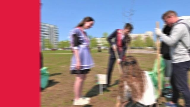 #КартинаДня