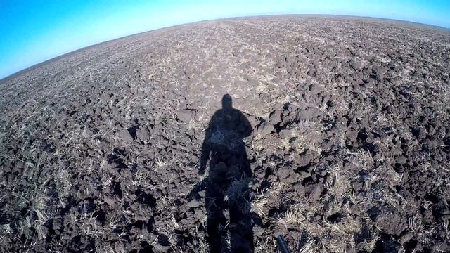 Коллективная Охота на Зайца 2020 / Каждый остался с Добычей смотреть онлайн