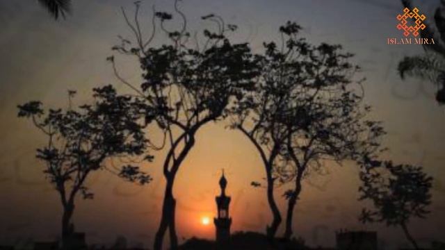 Мы что делаем? чтобы Аллах очистить все грехи?! смотреть онлайн