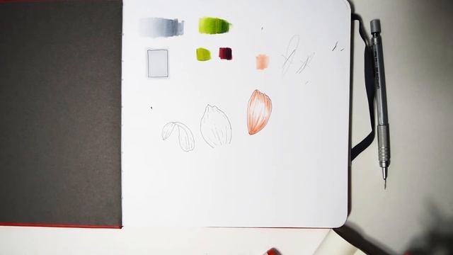 Как рисовать лепестки цветов маркерами