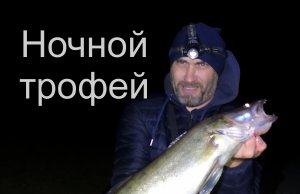 Ловля судака ночью.