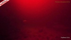 Реакция НОЧНОГО зимнего СУДАКА на  КРАСНЫЙ, белый и UV свет ФОНАРЕЙ! Бокоплав, блесна, VIB!