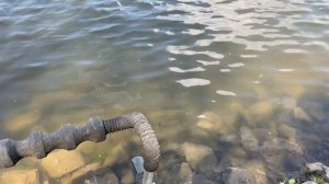 На реке со штекером (экстремальная рыбалка)