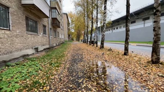 Сыктывкар прогулка вдоль Республиканского стадиона по улице Карла Маркса смотреть онлайн