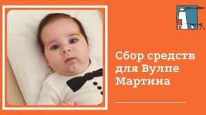 Открываем сбор средств для Вулпе Мартина
